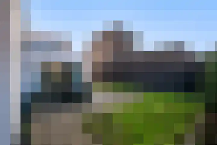 Schriekse Heihoek 112 Berghem thumbnail 21