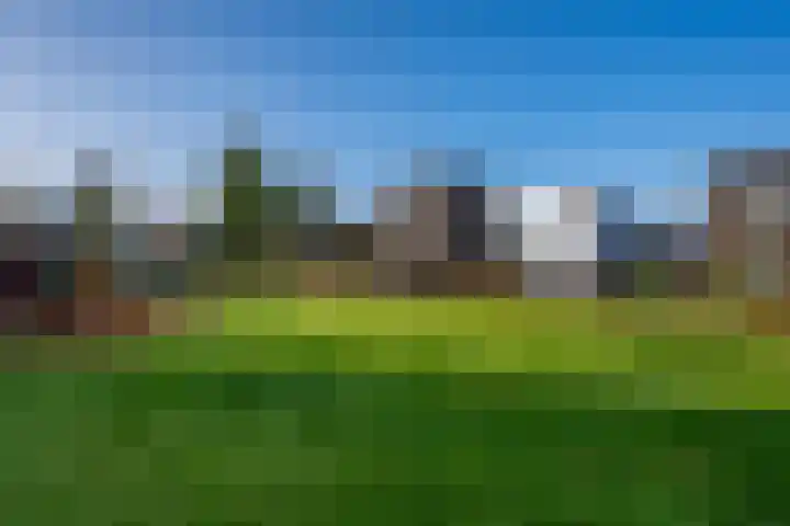 Schriekse Heihoek 112 Berghem thumbnail 26