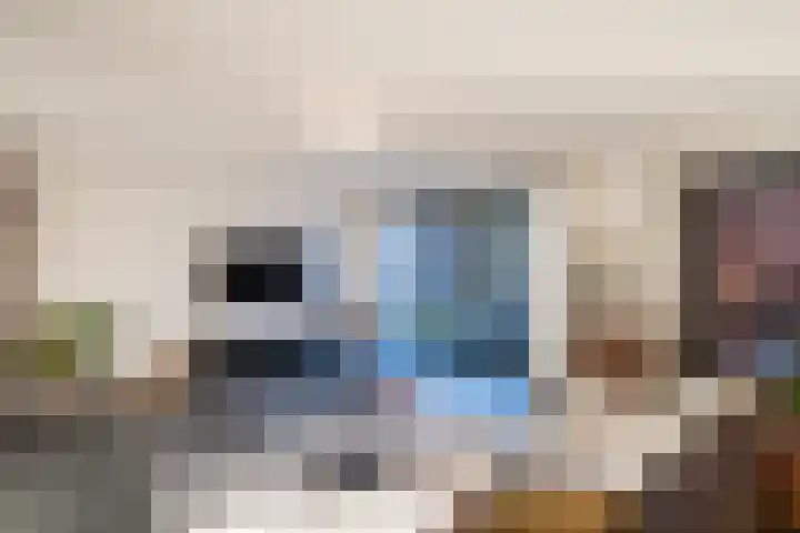 Schriekse Heihoek 112 Berghem thumbnail 8