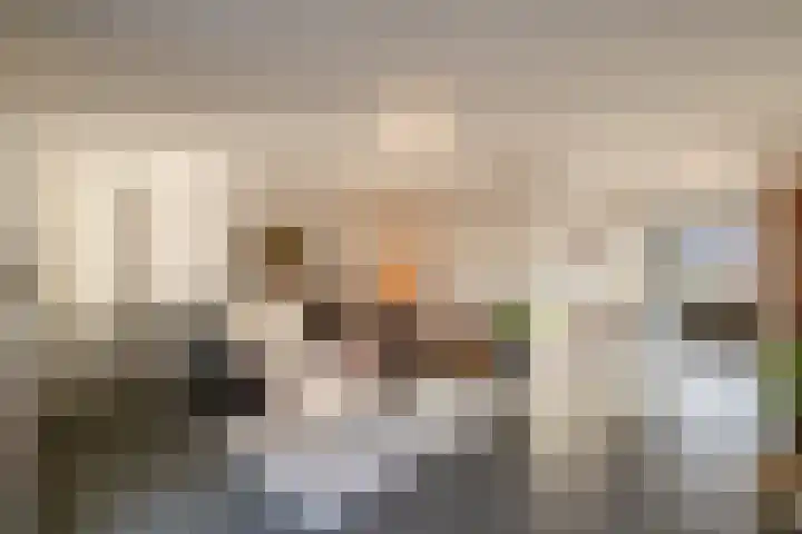Schriekse Heihoek 112 Berghem thumbnail 9