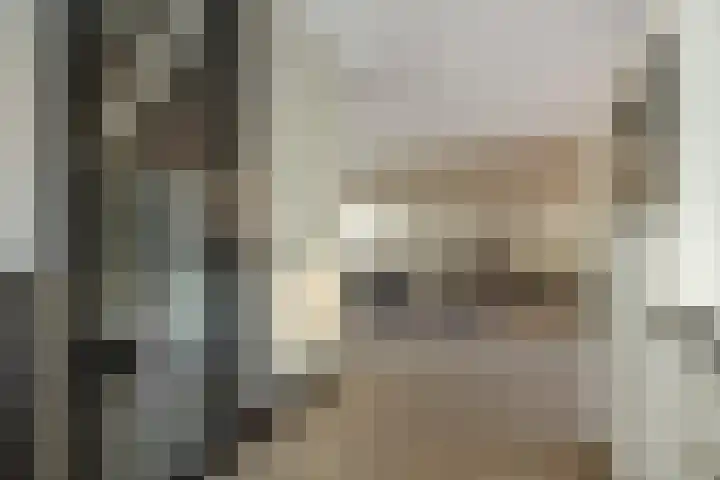 Schriekse Heihoek 203 Berghem thumbnail 10