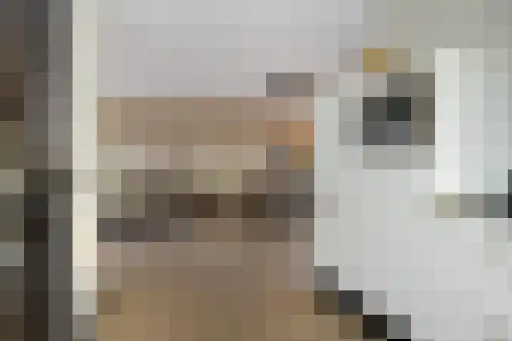 Schriekse Heihoek 203 Berghem thumbnail 12