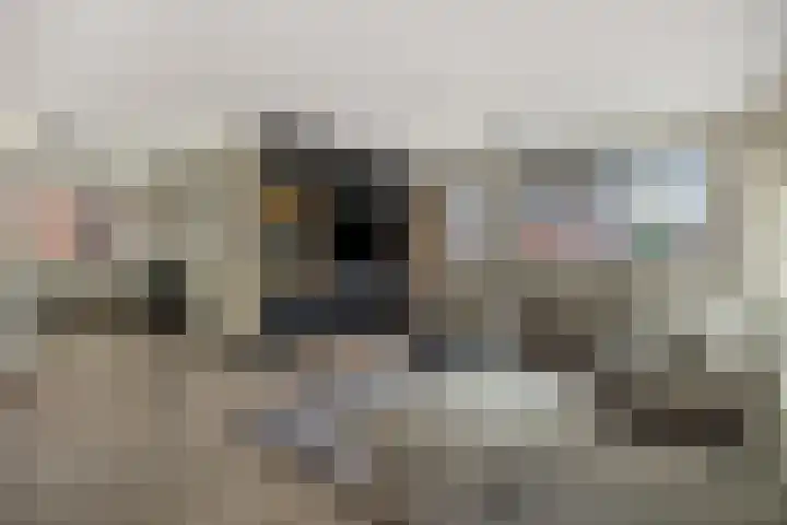 Schriekse Heihoek 203 Berghem thumbnail 13