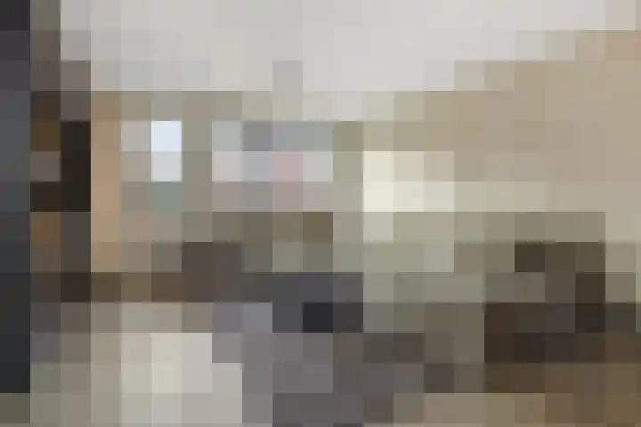 Schriekse Heihoek 203 Berghem thumbnail 14