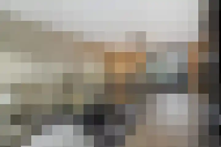 Schriekse Heihoek 203 Berghem thumbnail 17