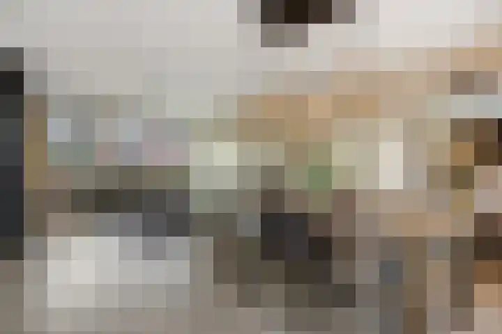 Schriekse Heihoek 203 Berghem thumbnail 18