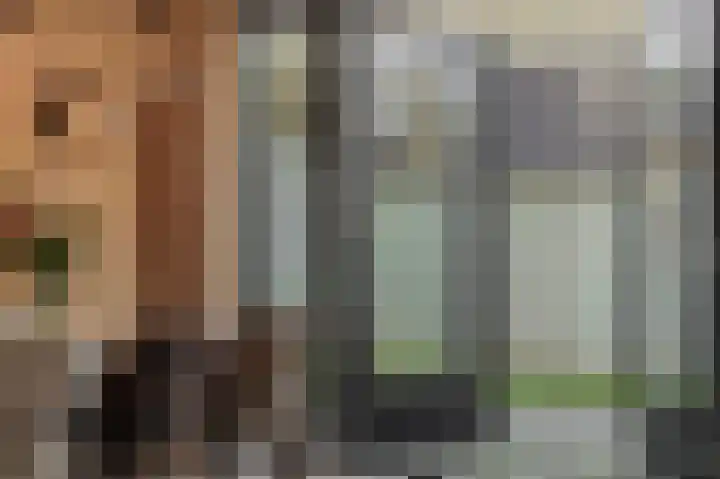 Schriekse Heihoek 203 Berghem thumbnail 20