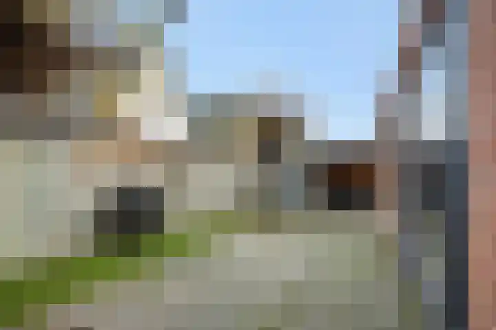 Schriekse Heihoek 203 Berghem thumbnail 21