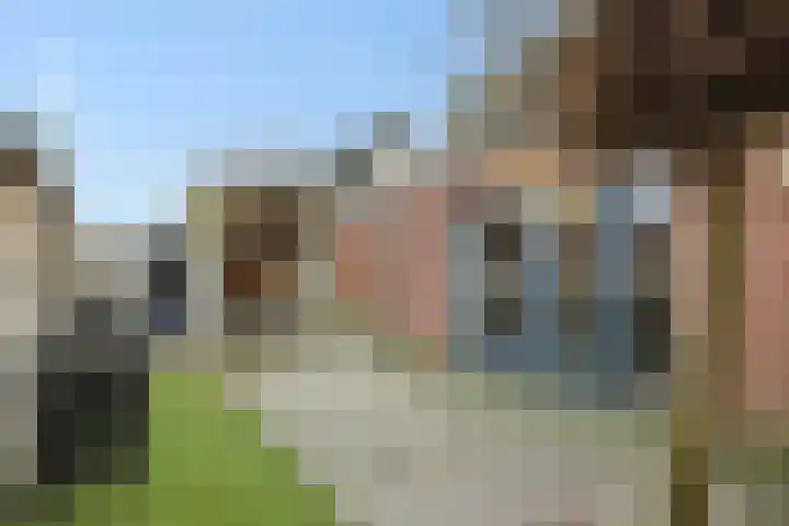 Schriekse Heihoek 203 Berghem thumbnail 22