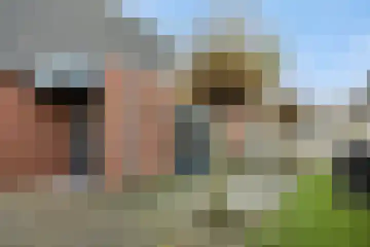 Schriekse Heihoek 203 Berghem thumbnail 23