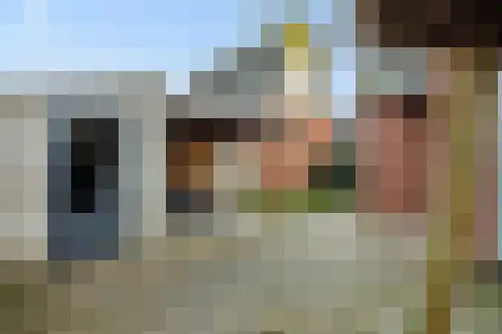 Schriekse Heihoek 203 Berghem thumbnail 24