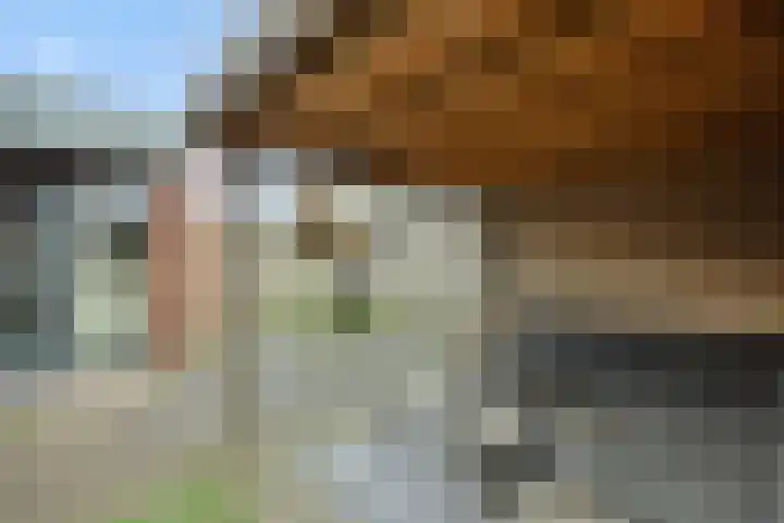 Schriekse Heihoek 203 Berghem thumbnail 26