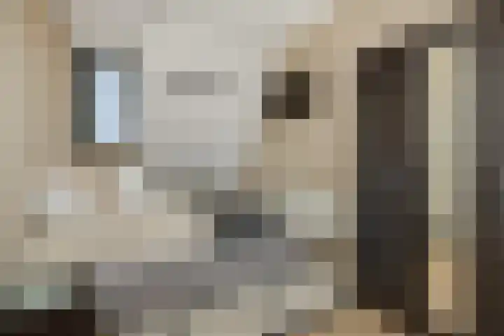 Schriekse Heihoek 203 Berghem thumbnail 29