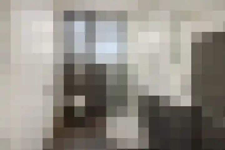 Schriekse Heihoek 203 Berghem thumbnail 34