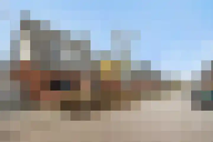 Schriekse Heihoek 203 Berghem thumbnail 36
