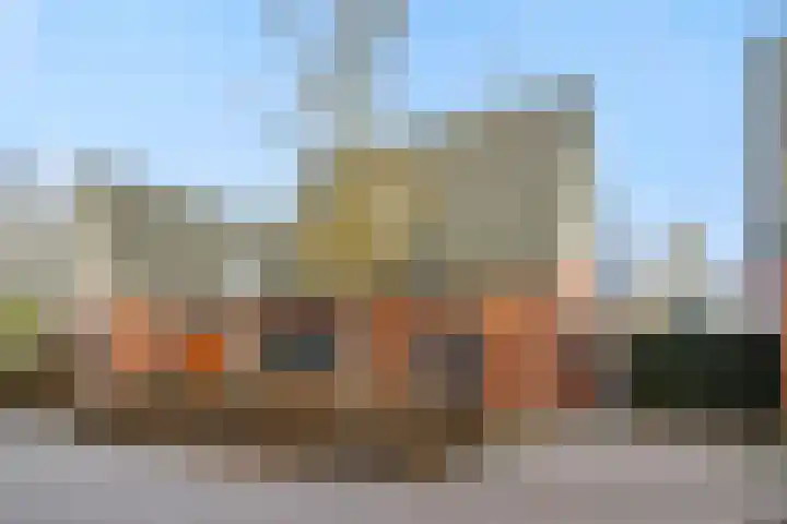 Schriekse Heihoek 203 Berghem thumbnail 6