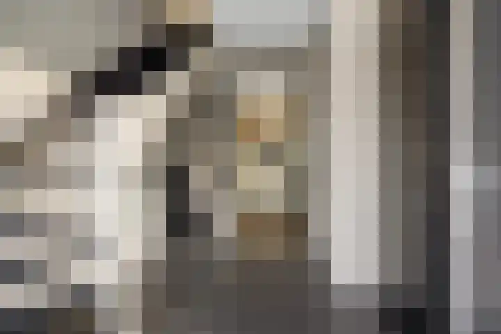 Schriekse Heihoek 203 Berghem thumbnail 7