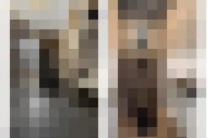 Schriekse Heihoek 203 Berghem thumbnail 8