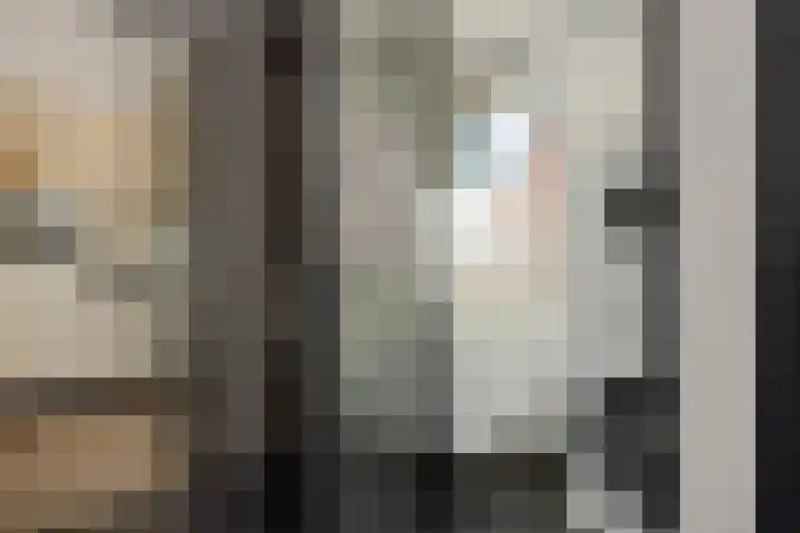 Schriekse Heihoek 203 Berghem thumbnail 9