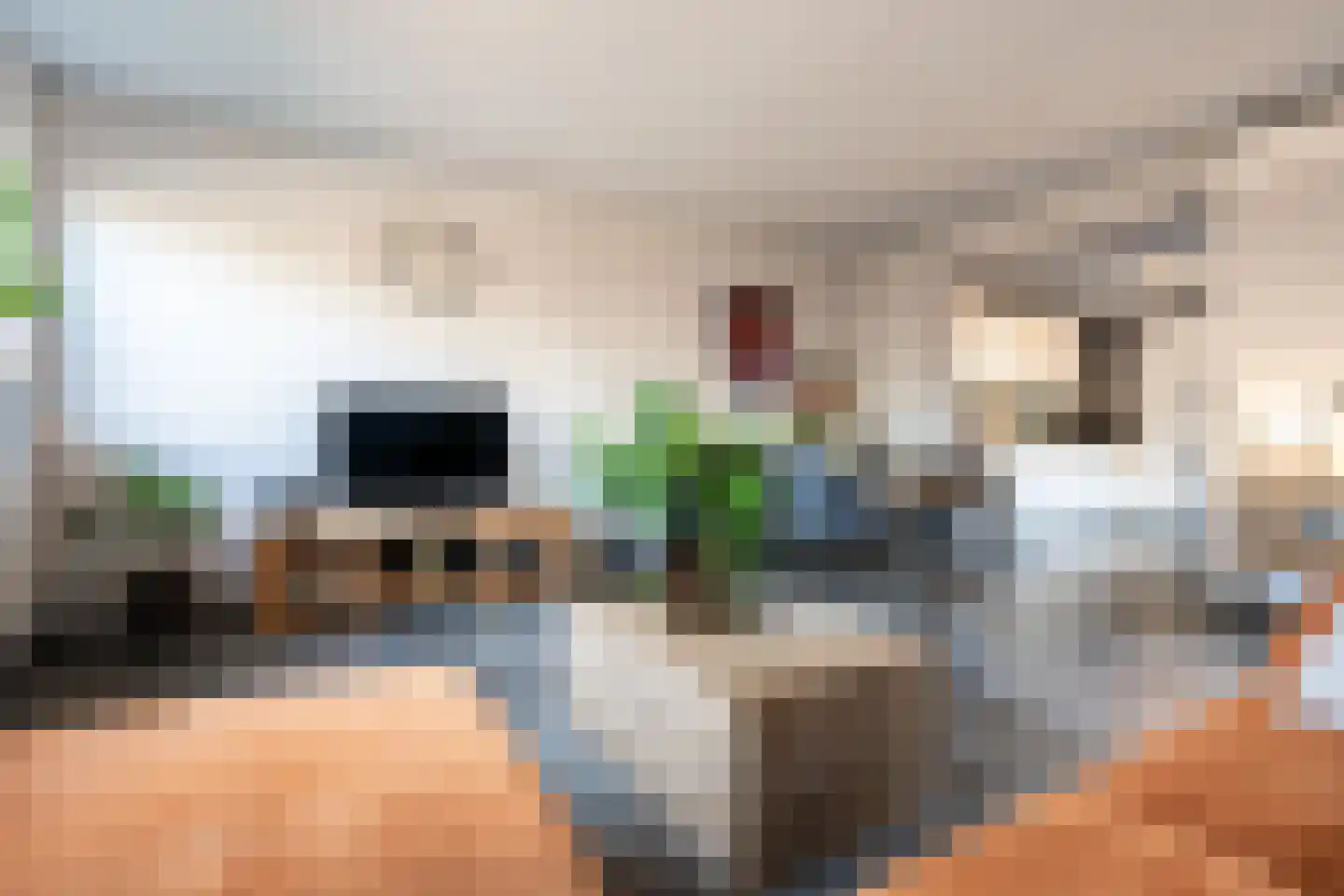 Schriekse Heihoek 216 Berghem thumbnail 10