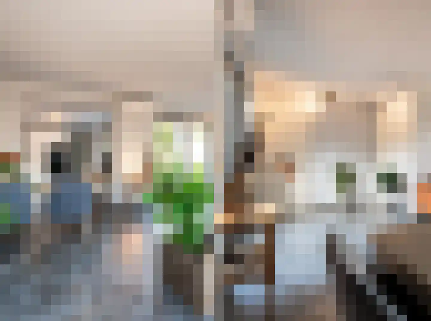 Schriekse Heihoek 216 Berghem thumbnail 11