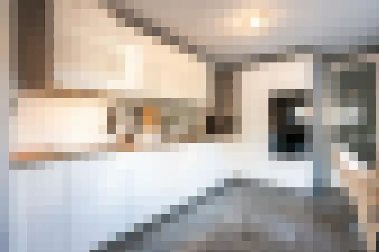Schriekse Heihoek 216 Berghem thumbnail 13