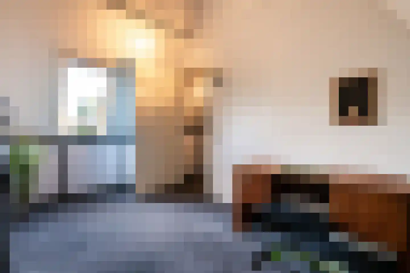 Schriekse Heihoek 216 Berghem thumbnail 18