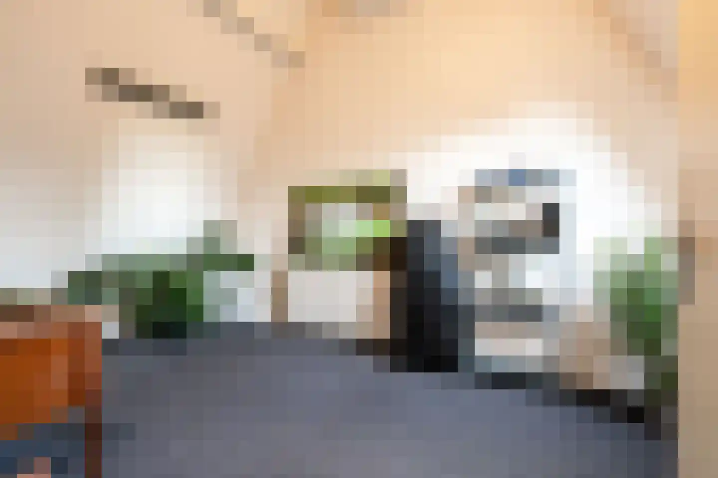 Schriekse Heihoek 216 Berghem thumbnail 19