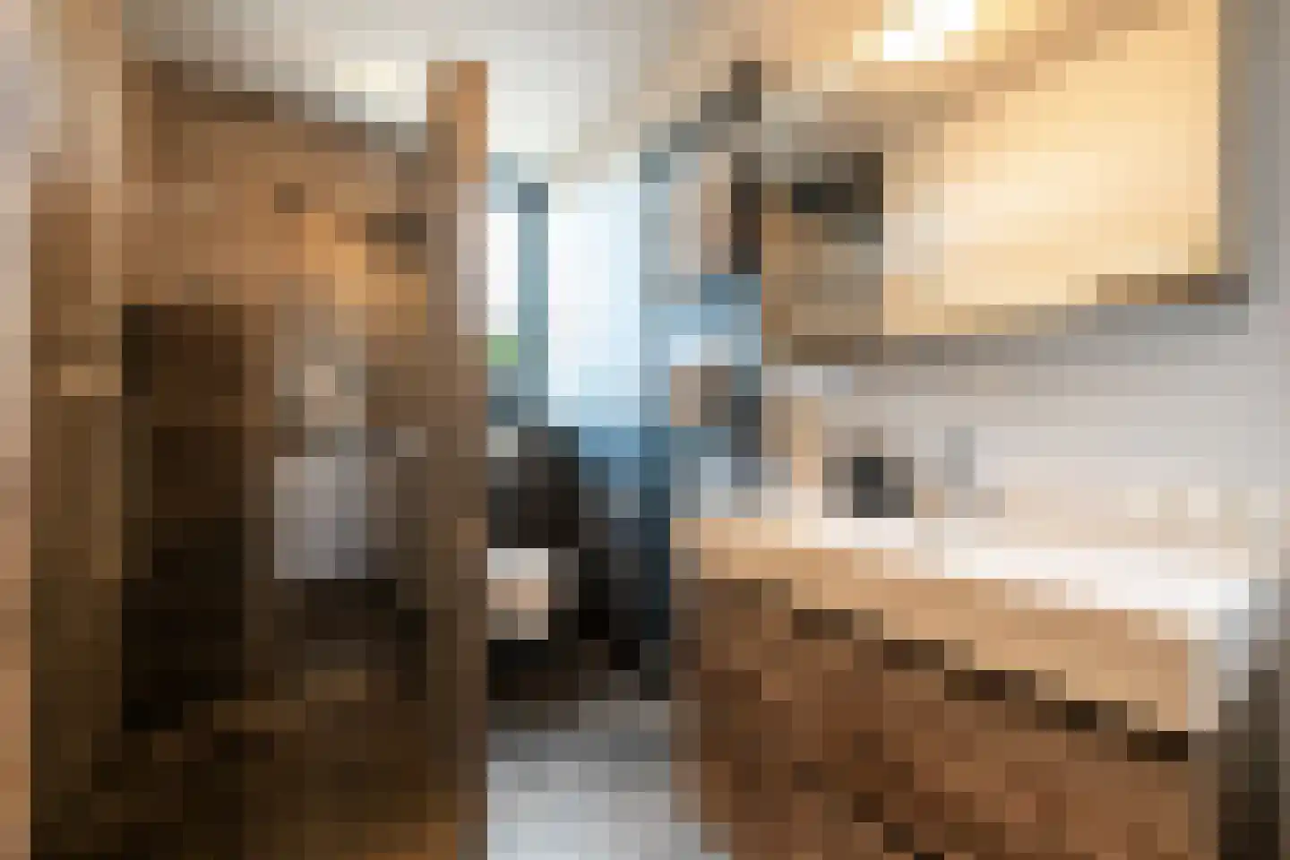 Schriekse Heihoek 216 Berghem thumbnail 20