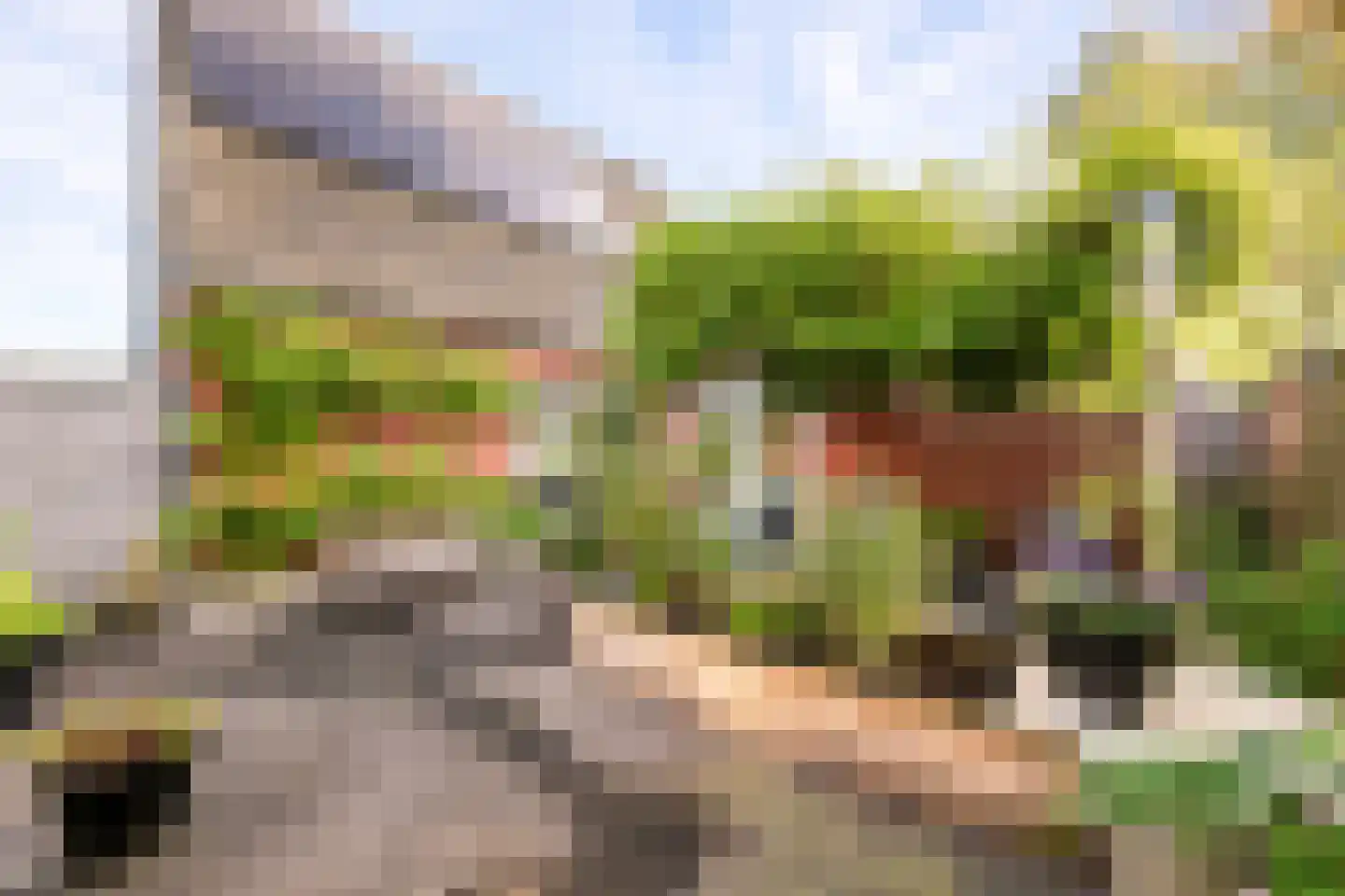 Schriekse Heihoek 216 Berghem thumbnail 22