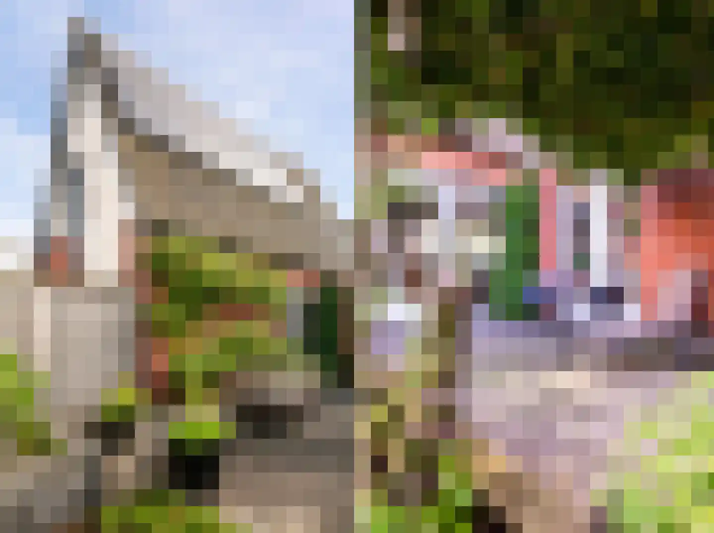 Schriekse Heihoek 216 Berghem thumbnail 23