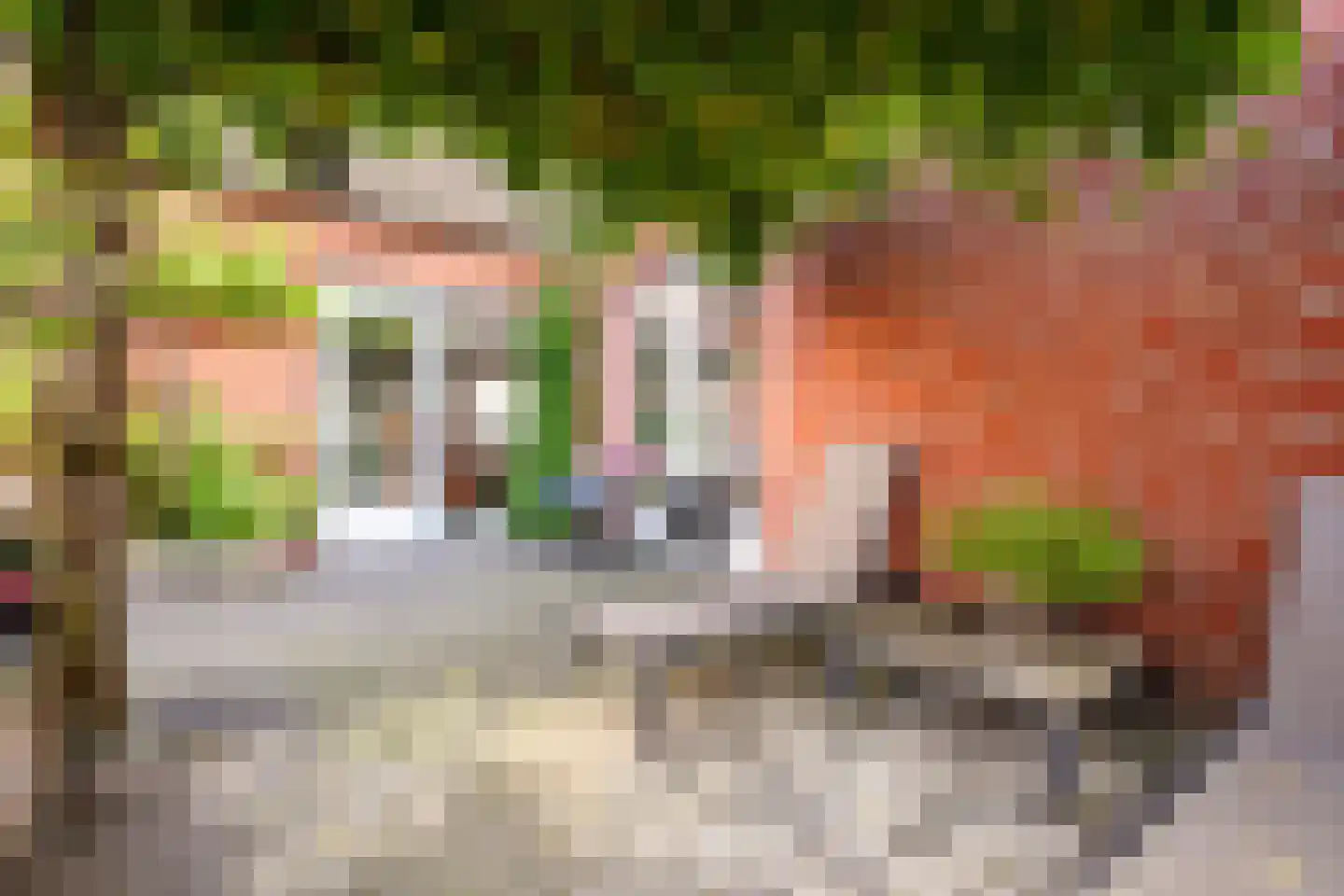 Schriekse Heihoek 216 Berghem thumbnail 24