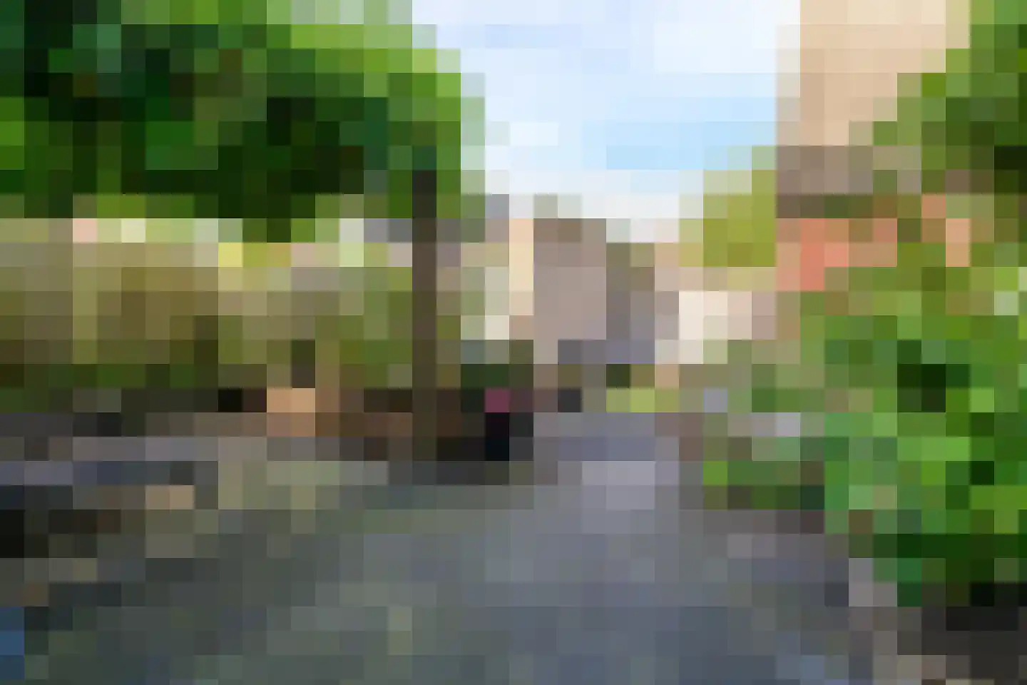 Schriekse Heihoek 216 Berghem thumbnail 25
