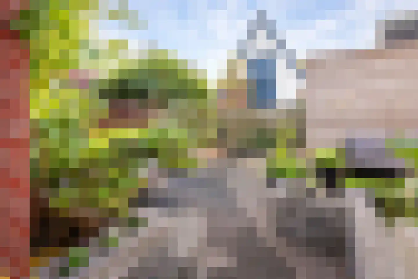 Schriekse Heihoek 216 Berghem thumbnail 27