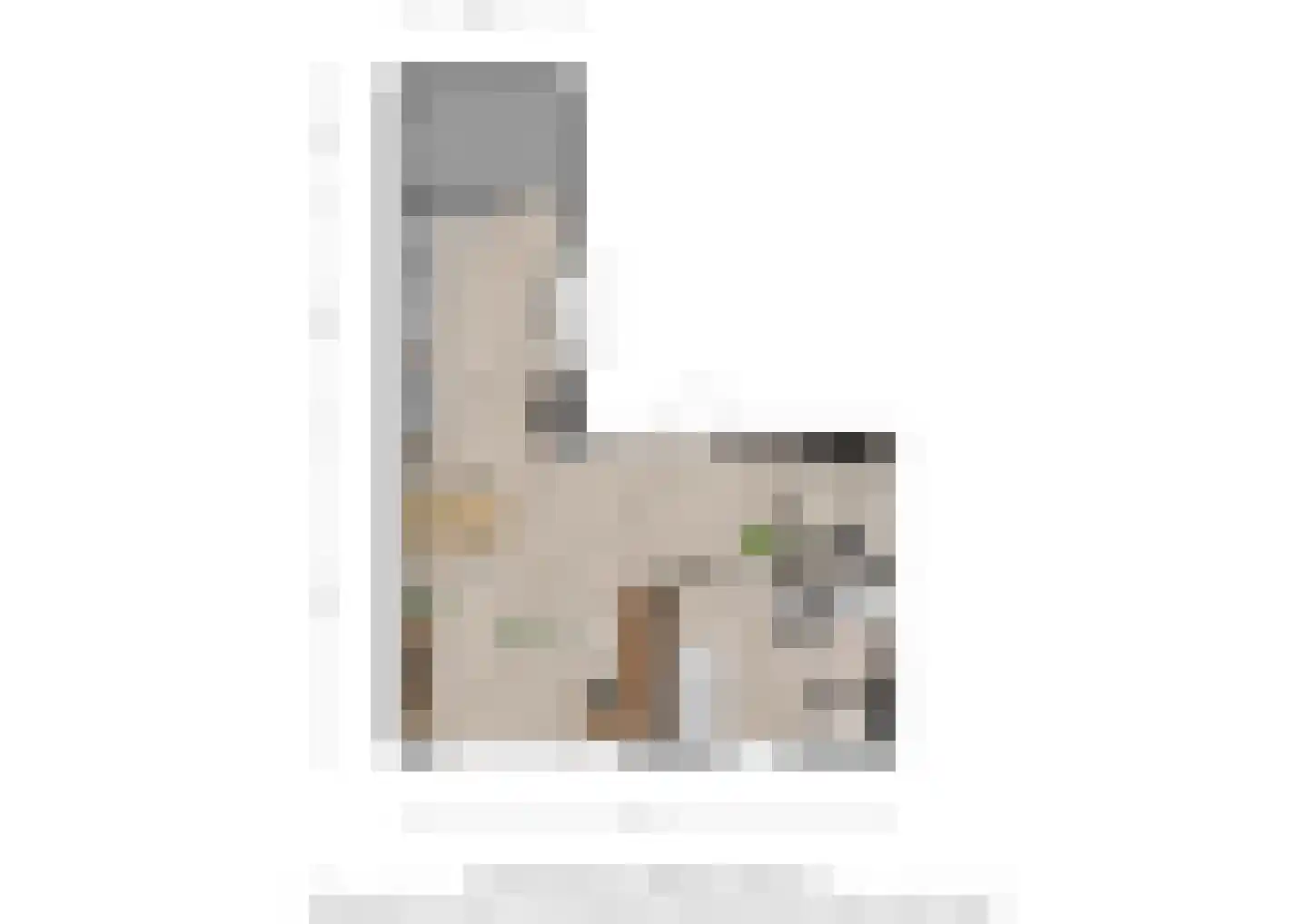 Schriekse Heihoek 216 Berghem thumbnail 29