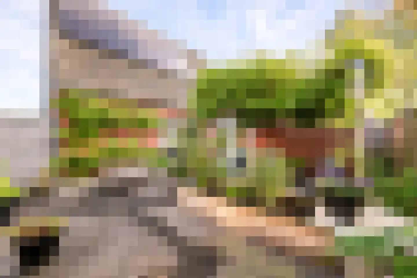 Schriekse Heihoek 216 Berghem thumbnail 5