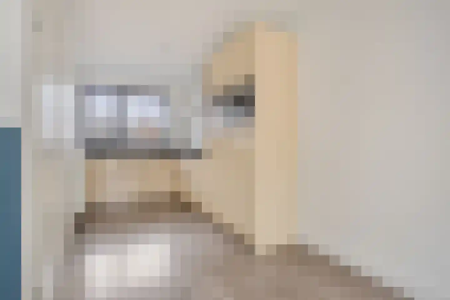 Schriekse Heihoek 508 Berghem thumbnail 12