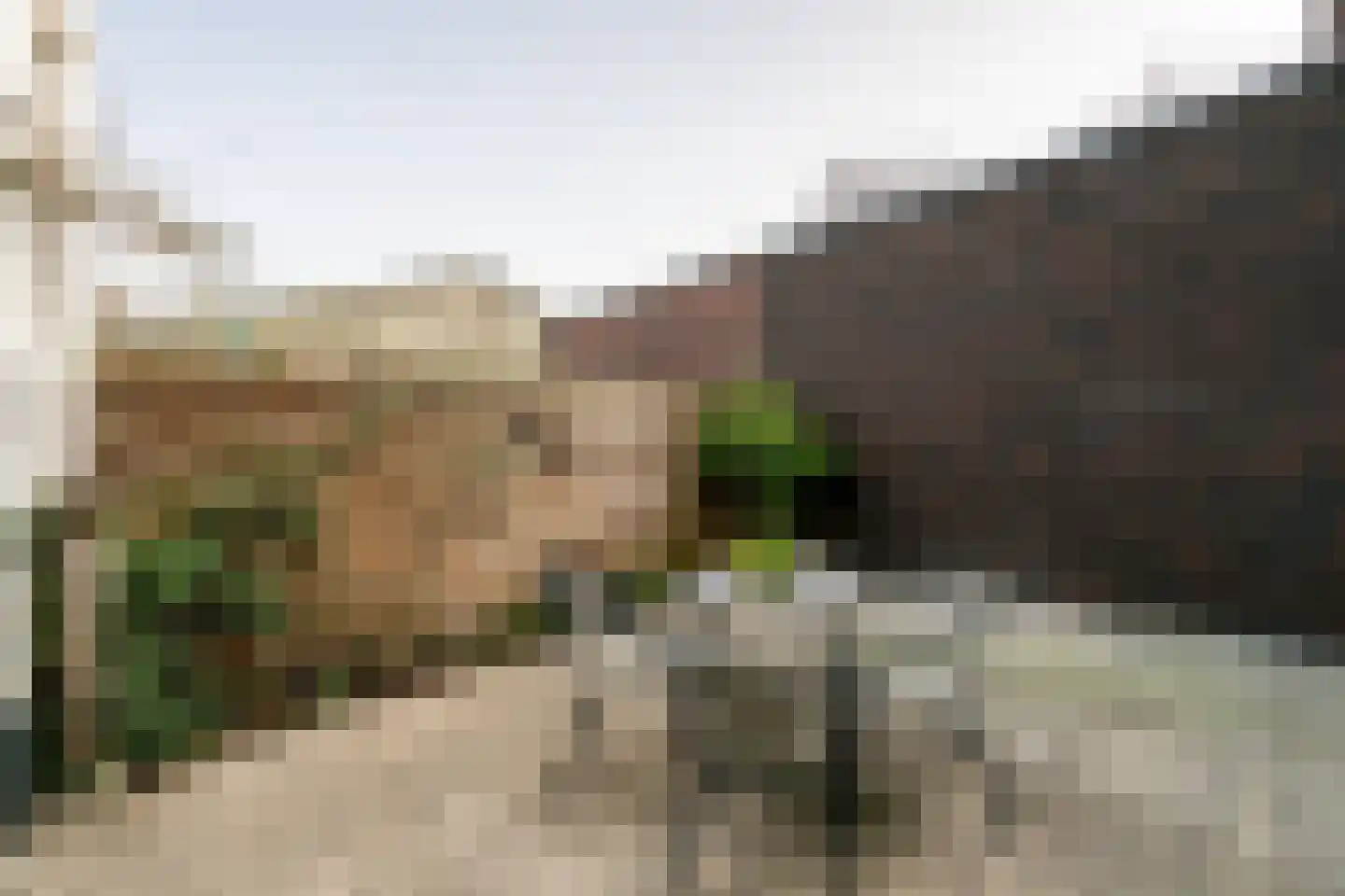 Schriekse Heihoek 633 Berghem thumbnail 4
