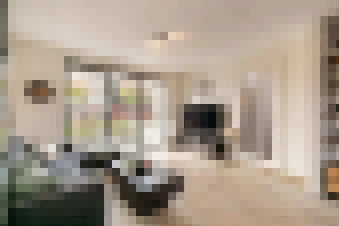 Schriekse Heihoek 633 Berghem thumbnail 8