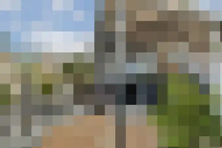 Schrijnwerker 103 Spijkenisse thumbnail 13