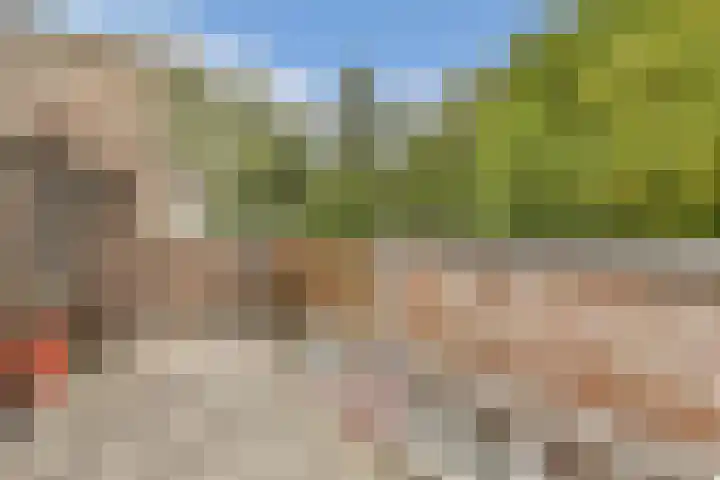Schrijnwerker 103 Spijkenisse thumbnail 21