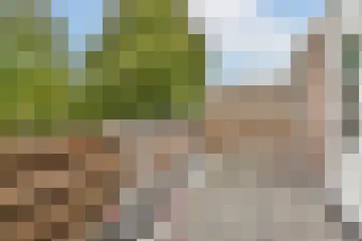 Schrijnwerker 103 Spijkenisse thumbnail 22