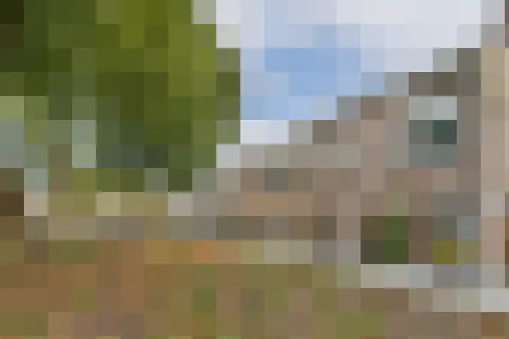 Schrijnwerker 103 Spijkenisse thumbnail 25