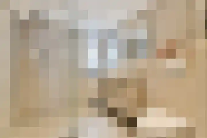 Schrijnwerker 103 Spijkenisse thumbnail 4