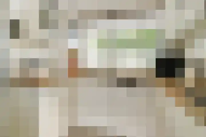 Schrijnwerker 103 Spijkenisse thumbnail 9