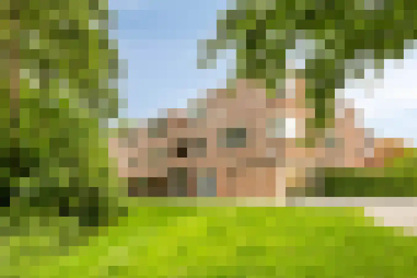 Schrijnwerker 109 en Spijkenisse