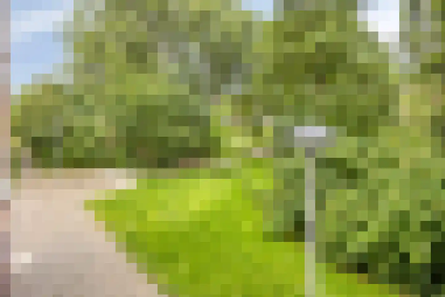 Schrijnwerker 109 Spijkenisse thumbnail 24