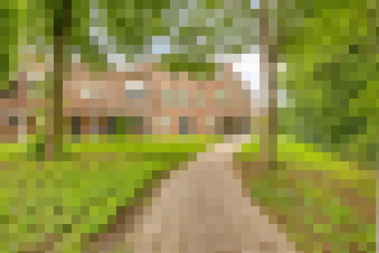 Schrijnwerker 109 Spijkenisse thumbnail 25
