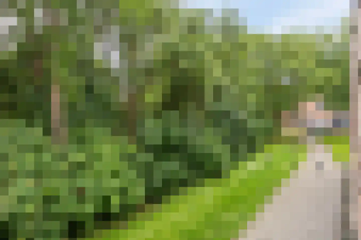 Schrijnwerker 109 Spijkenisse thumbnail 26
