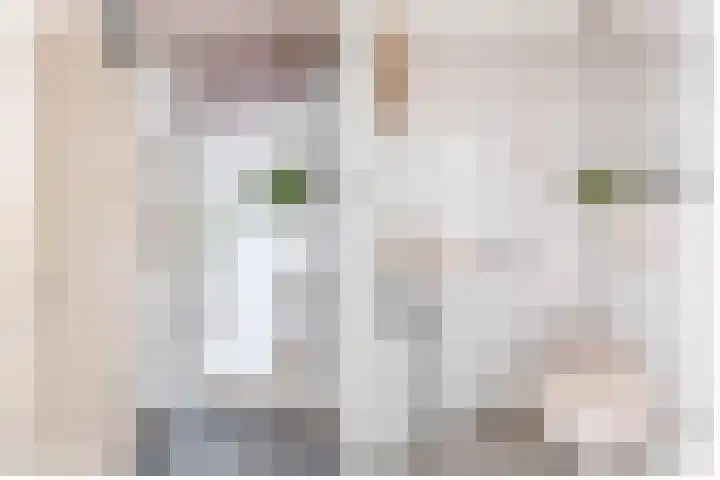 Schrijnwerker 19 Spijkenisse thumbnail 11